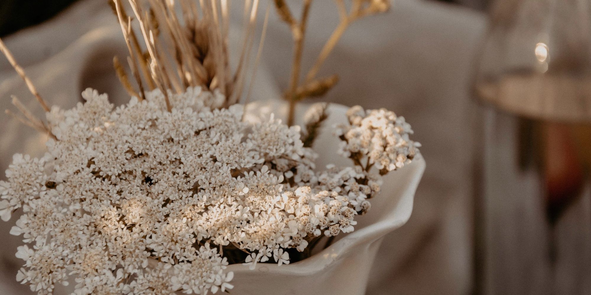 Close up of pretty white flowers in a vase