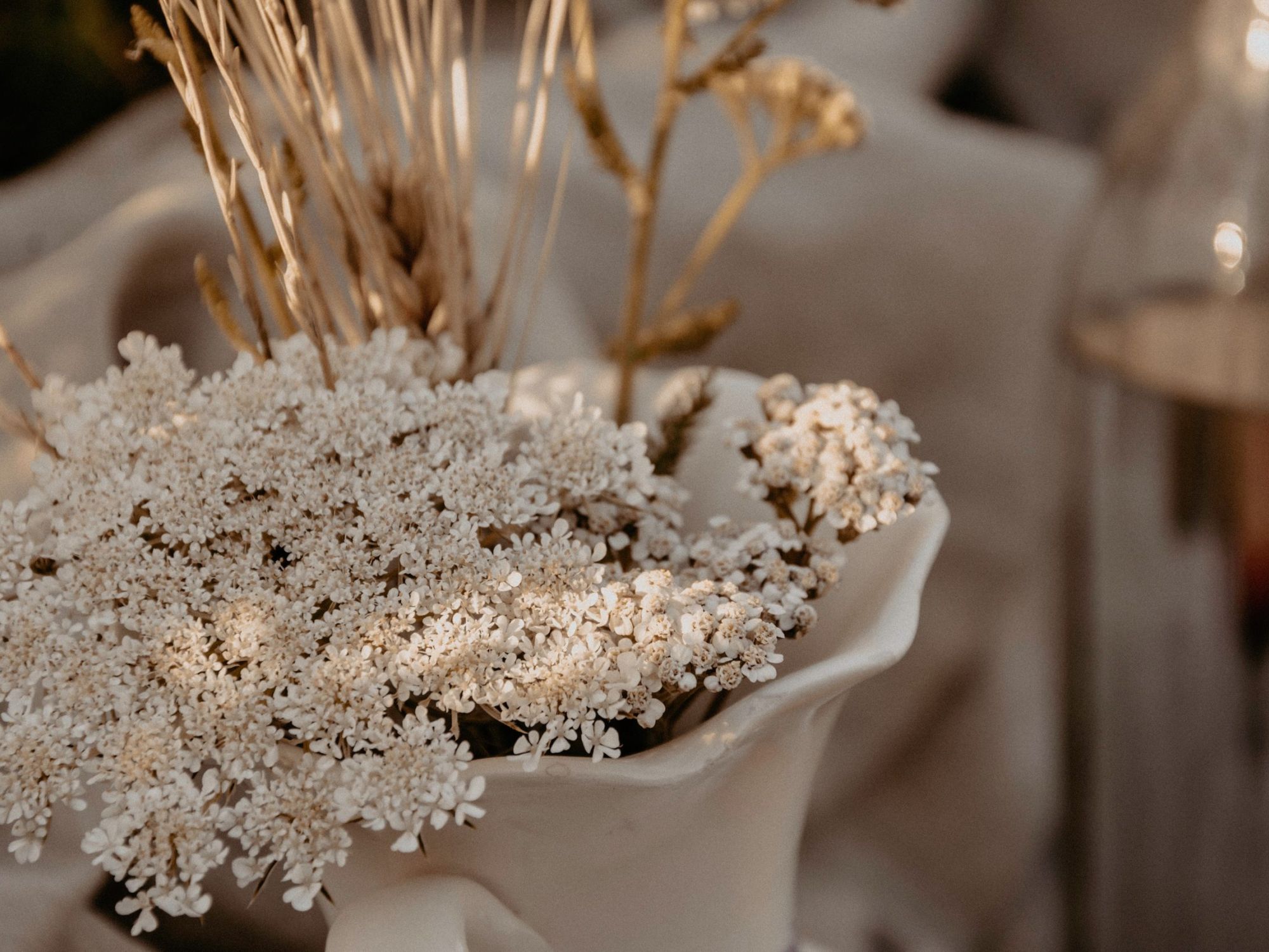 Close up of pretty white flowers in a vase